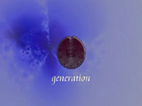 Generation